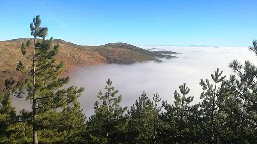 Brume sur le plateau ardéchois